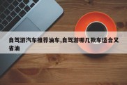 自驾游汽车推荐油车,自驾游哪几款车适合又省油