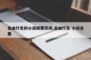 自由行走的小说寂寞空间,自由行走 小说全集