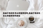 自由行电动车怎么样值得买吗,自由行电动车怎么样值得买吗现在