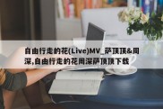 自由行走的花(Live)MV_萨顶顶&周深,自由行走的花周深萨顶顶下载