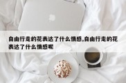 自由行走的花表达了什么情感,自由行走的花表达了什么情感呢