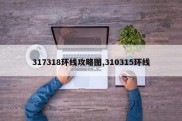 317318环线攻略图,310315环线