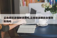 云南跟团游强制消费吗,云南旅游跟团会强势购物吗
