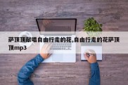 萨顶顶献唱自由行走的花,自由行走的花萨顶顶mp3