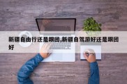 新疆自由行还是跟团,新疆自驾游好还是跟团好
