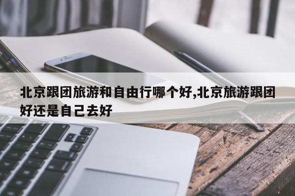 北京跟团旅游和自由行哪个好,北京旅游跟团好还是自己去好