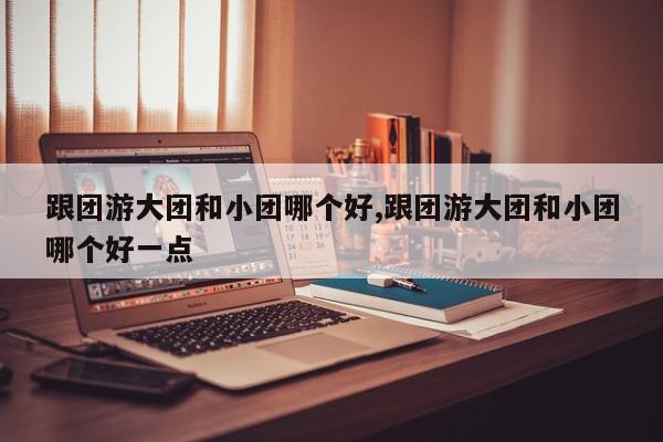 跟团游大团和小团哪个好,跟团游大团和小团哪个好一点