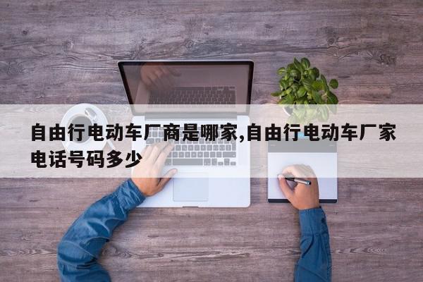 自由行电动车厂商是哪家,自由行电动车厂家电话号码多少