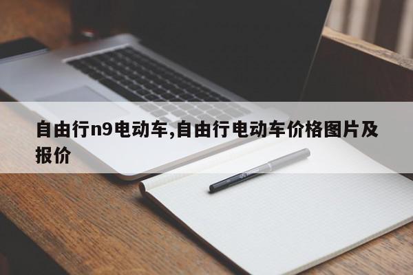 自由行n9电动车,自由行电动车价格图片及报价