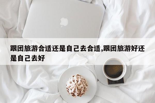 跟团旅游合适还是自己去合适,跟团旅游好还是自己去好