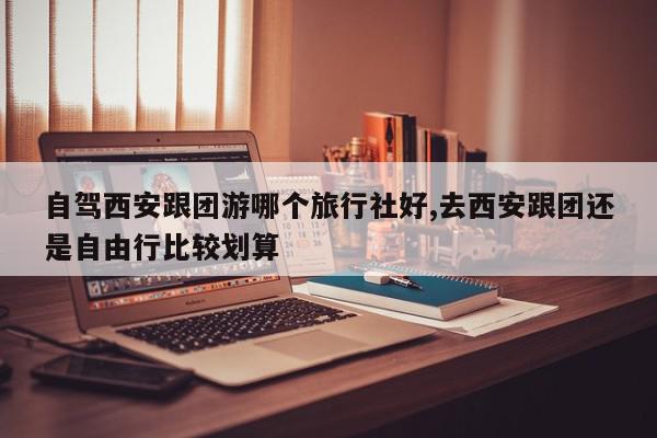 自驾西安跟团游哪个旅行社好,去西安跟团还是自由行比较划算
