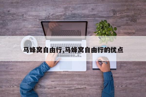 马蜂窝自由行,马蜂窝自由行的优点