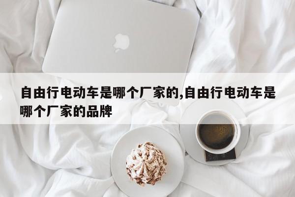 自由行电动车是哪个厂家的,自由行电动车是哪个厂家的品牌