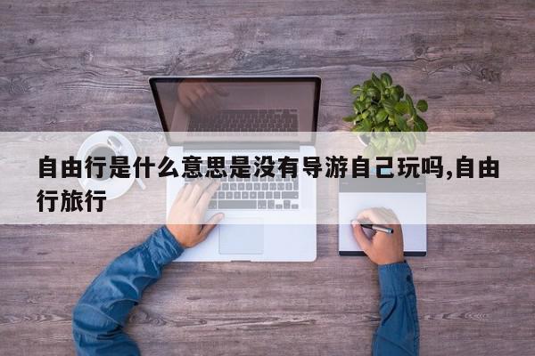 自由行是什么意思是没有导游自己玩吗,自由行旅行