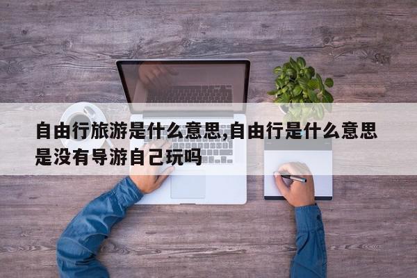 自由行旅游是什么意思,自由行是什么意思 是没有导游自己玩吗